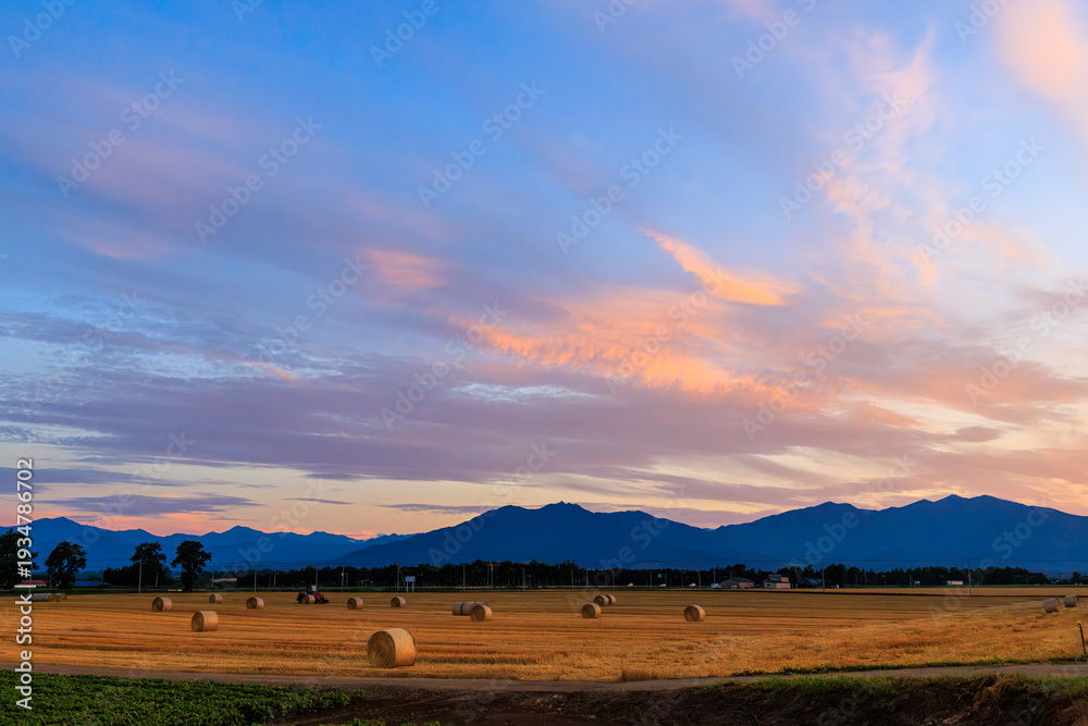 Obraz premium 夕焼けと十勝の畑