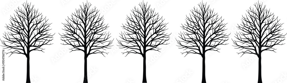 Obraz premium Leafless tree silhouettes vector set, bare branches, forest illustration, nature design, winter trees, seasonal art, botanical pattern, landscape graphic collection