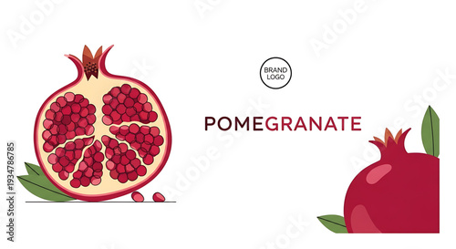 A vibrant vector graphic illustration of a pomegranate with its seeds and leaves, accompanied by a brand logo and text on a clean white background.