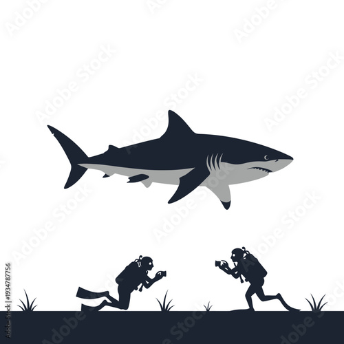 Scuba divers photographing a great white shark underwater, ocean wildlife encounter