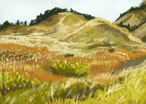 landscape 9