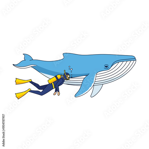 Scuba Diver Swimming Next to Giant Blue Whale in Ocean