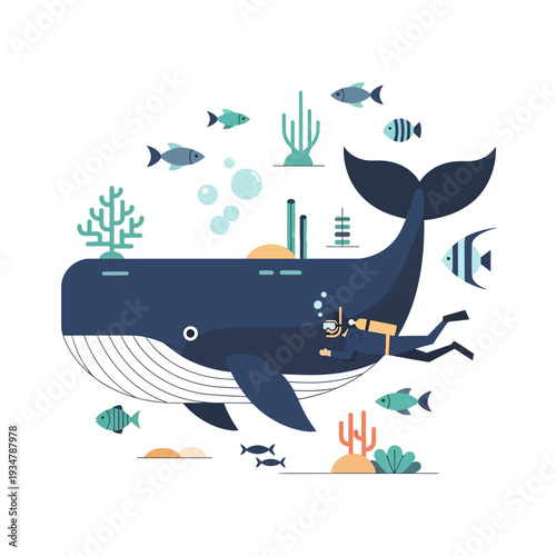 Scuba Diver Swimming With Blue Whale And Fish Underwater Ocean Scene