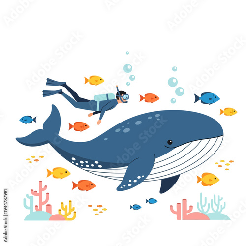 Scuba diver swimming with a large blue whale and colorful fish underwater