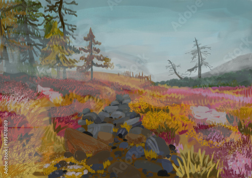 landscape 6
