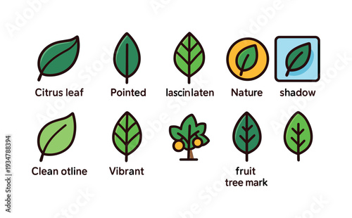 Nature, environment flat icon set. leaves, tree, citrus icons flat collection