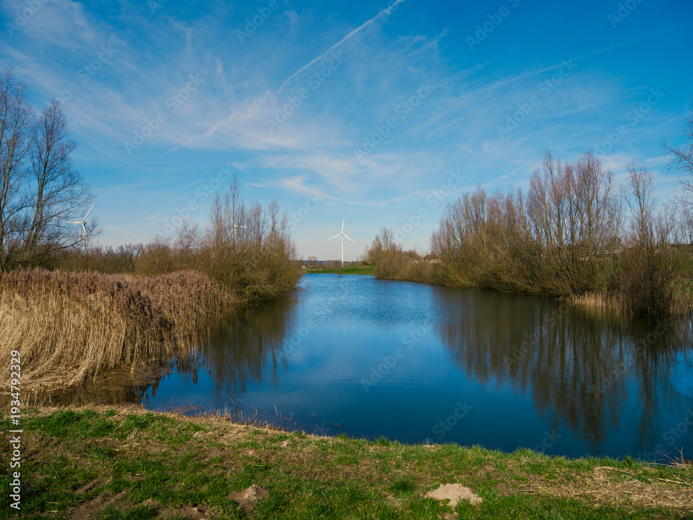 Fototapeta premium Calm pond with reed beds reflecting wind turbine and bare trees in Dutch polder landscape