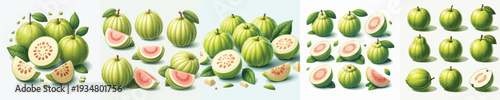 Guava Fruit Vector Illustration Collection