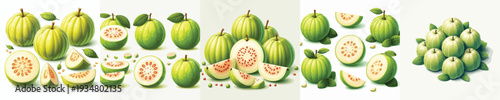 Guava Fruit Vector Illustration Collection