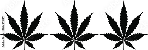 Cannabis leaf silhouettes isolated on white background representing medical marijuana hemp herbal medicine and legal drug culture.