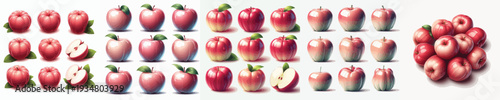 Water Apple Fruit Vector Illustration Collection