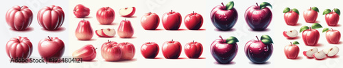 Water Apple Fruit Vector Illustration Collection