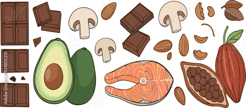 Healthy Food Vector Set with Avocado, Salmon, Dark Chocolate, Nuts and Mushrooms Illustration Collection
