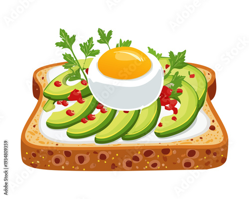 Multigrain bread slice topped with creamy avocado mash and a perfectly cooked fried egg for nutritious meal - Vector Illustration