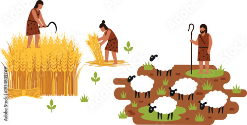Flat Vector Illustration of Primitive People Harvesting Grain with Sickles and Herding Sheep in an Ancient Agricultural Setting for Educational History and Early Civilization Concepts