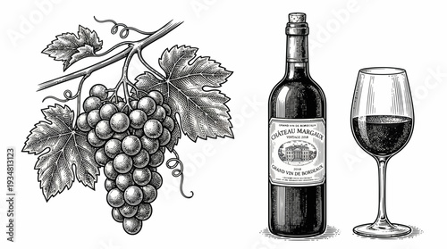 Classic Wine Bottle Glass and Grape Vine Vintage Engraving