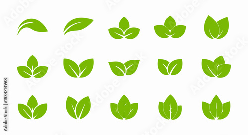 Collection of various stylized green leaf icons perfect for nature and organic branding designs.