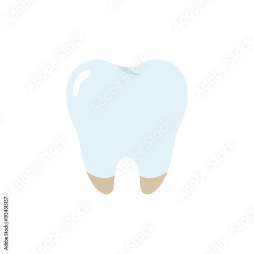 A clean and simple vector illustration of a healthy tooth with a light blue crown and two beige roots, isolated on a white background.