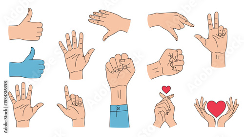 Comprehensive set of hand gesture illustrations showing thumbs up, a fist, open palms, and heart shapes with fingers.