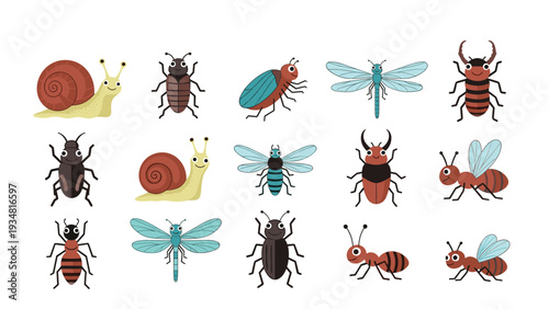 Educational collection of various colorful cartoon insects and bugs including snails, ants, beetles, dragonflies, and bees on white.