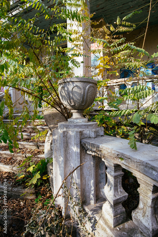 Fototapeta premium Old ruined abandoned overgrown mansion