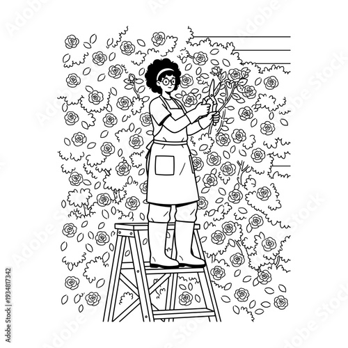 Hand drawn doodle illustration of a woman gardener pruning roses on a ladder