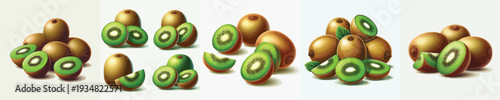 Kiwi Fruit Vector Illustration Collection