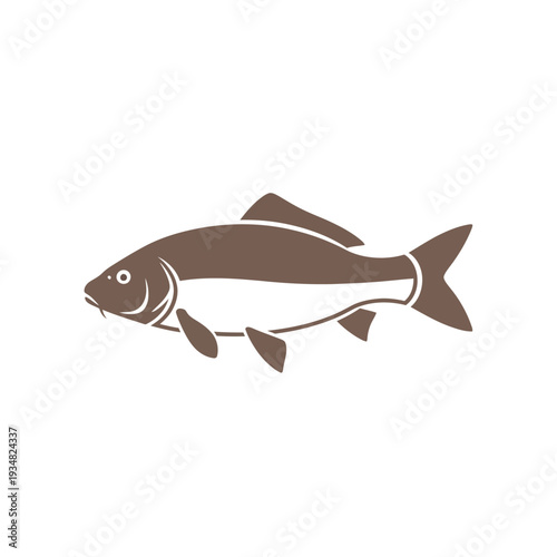 A simple illustration of a brown carp fish, depicted in profile view against a white background, showcasing its aquatic form