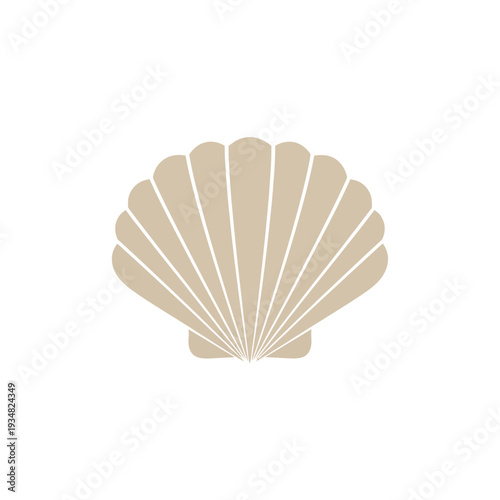 Elegant seashell icon with radiating lines, representing the beauty of the ocean and marine life in a simple graphic design