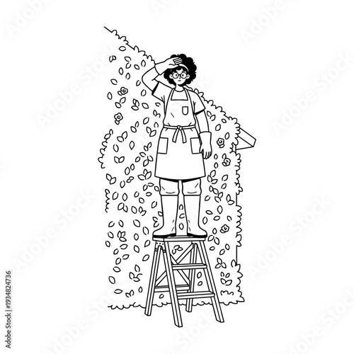 Hand drawn illustration of a female gardener on a ladder pausing after trimming hedge.