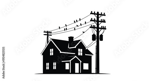 A dark house beneath power lines and birds a striking silhouette