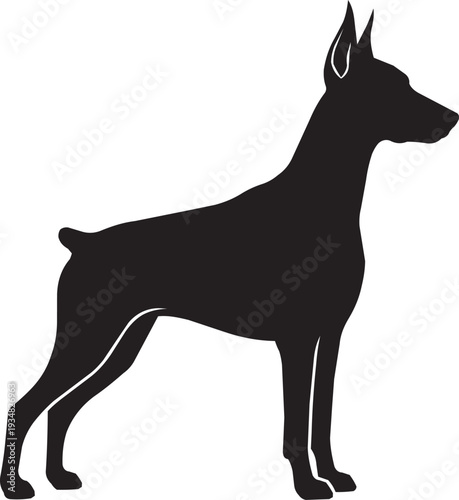 Doberman Pinscher silhouette standing alert, portraying strength and elegance in a clean vector graphic