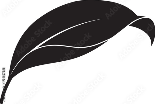 Simple black leaf icon on white background illustration design