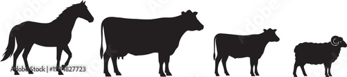 Farm animal silhouettes: horse, cow, calf, and sheep in black on white background. Agricultural concept.
