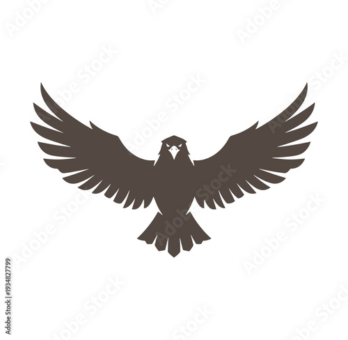 Brown eagle with wings spread wide flying isolated on white background