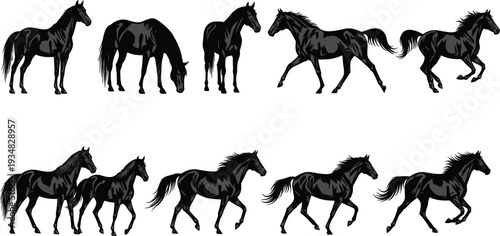 Black Horse Silhouette Set with Running, Walking, Grazing and Standing Stallion Poses Vector Illustration Collection