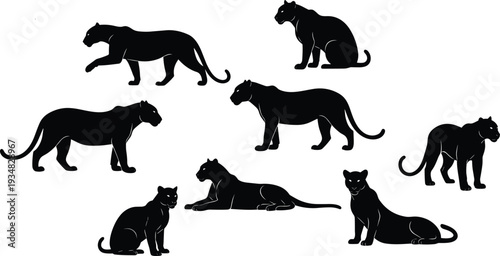 Black panther silhouette vector set, wild cat silhouettes isolated on white, leopard and jaguar hunting poses, predatory feline animal graphic icons