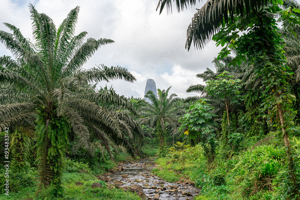 Fototapeta premium The Pico Cão Grande volcanic plug towering over a lush palm oil plantation and a rocky stream in São Tomé and Príncipe, captured in a wide-angle eye-level shot.