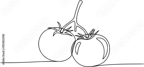 Minimalist single line drawing featuring two fresh tomatoes on a stem