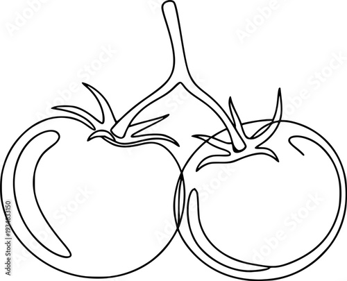 Minimalist single line drawing featuring two fresh tomatoes on a stem