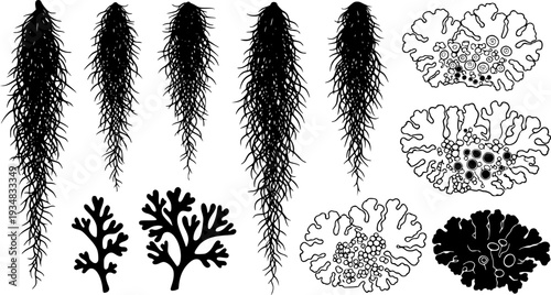 Hanging Spanish Moss and Lichen elements