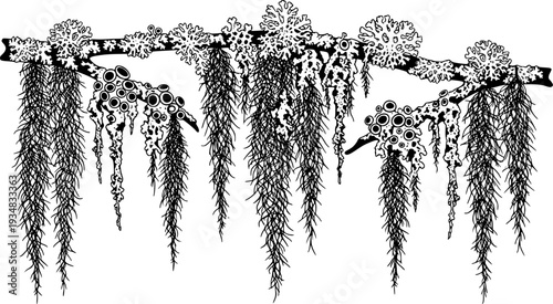Hanging Spanish Moss and Lichen elements