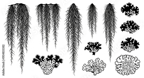 Hanging Spanish Moss and Lichen elements