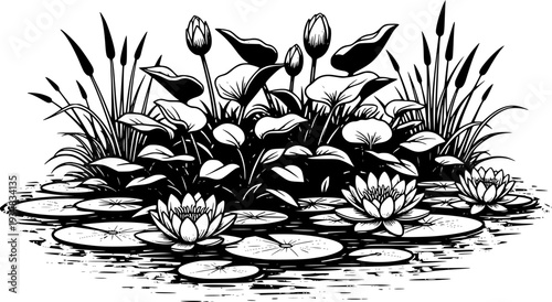 Lush water plants with white water lilies floating on calm water