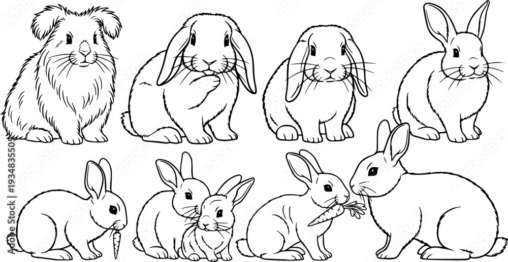 Obraz premium A collection of charming domestic rabbits showcasing diverse and postures