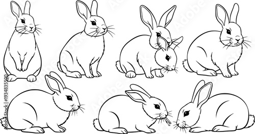 A collection of charming domestic rabbits showcasing diverse  and postures