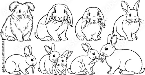 A collection of charming domestic rabbits showcasing diverse  and postures