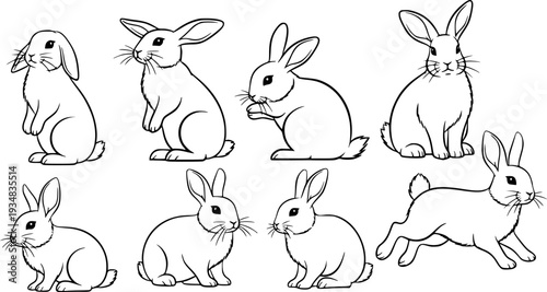 A collection of charming domestic rabbits showcasing diverse  and postures