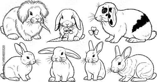 A collection of charming domestic rabbits showcasing diverse  and postures