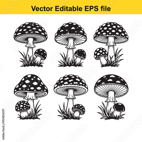 Black and White Mushroom Illustrations Set - Vector Graphics